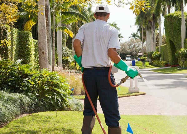 About Jacksboro TX Pest Control